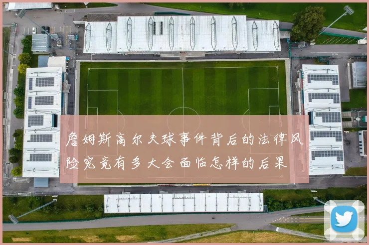 詹姆斯高尔夫球事件背后的法律风险究竟有多大会面临怎样的后果