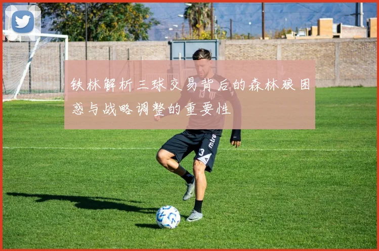 铁林解析三球交易背后的森林狼困惑与战略调整的重要性