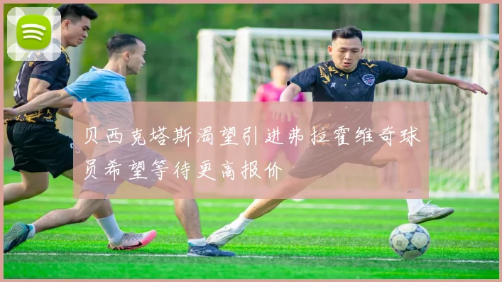 贝西克塔斯渴望引进弗拉霍维奇球员希望等待更高报价